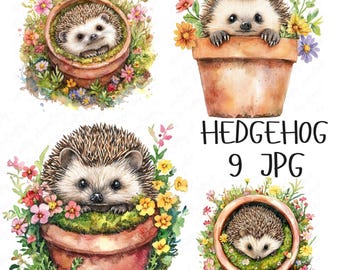 9 Watercolor Hedgehog Floral Clipart, Cute Hedgehog, Garden Animal Clipart, Printable Clipart for Paper Crafts, High Quality JPG Download