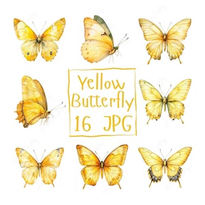 16 Aquarell gelbe Schmetterling Clipart, zarte Schmetterling Illustrationen für Einladungen, Kunsthandwerk & Wandkunst, hochwertige JPG Download