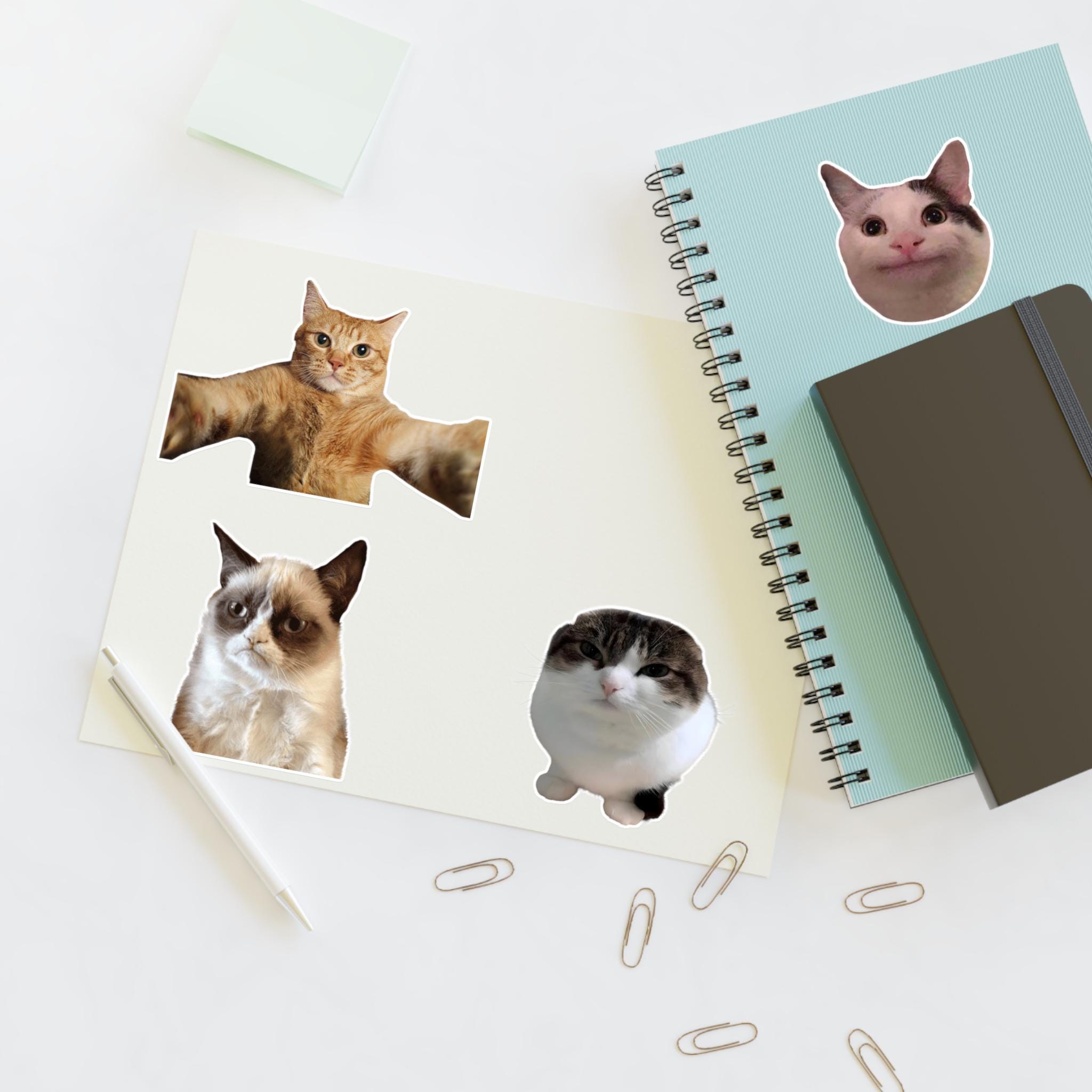 Funny Cat Meme Faces Sticker Sheets | Cute Meme Cat Stickers - Etsy