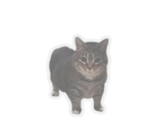 Uia Uai Cat Meme Funny Stickers
