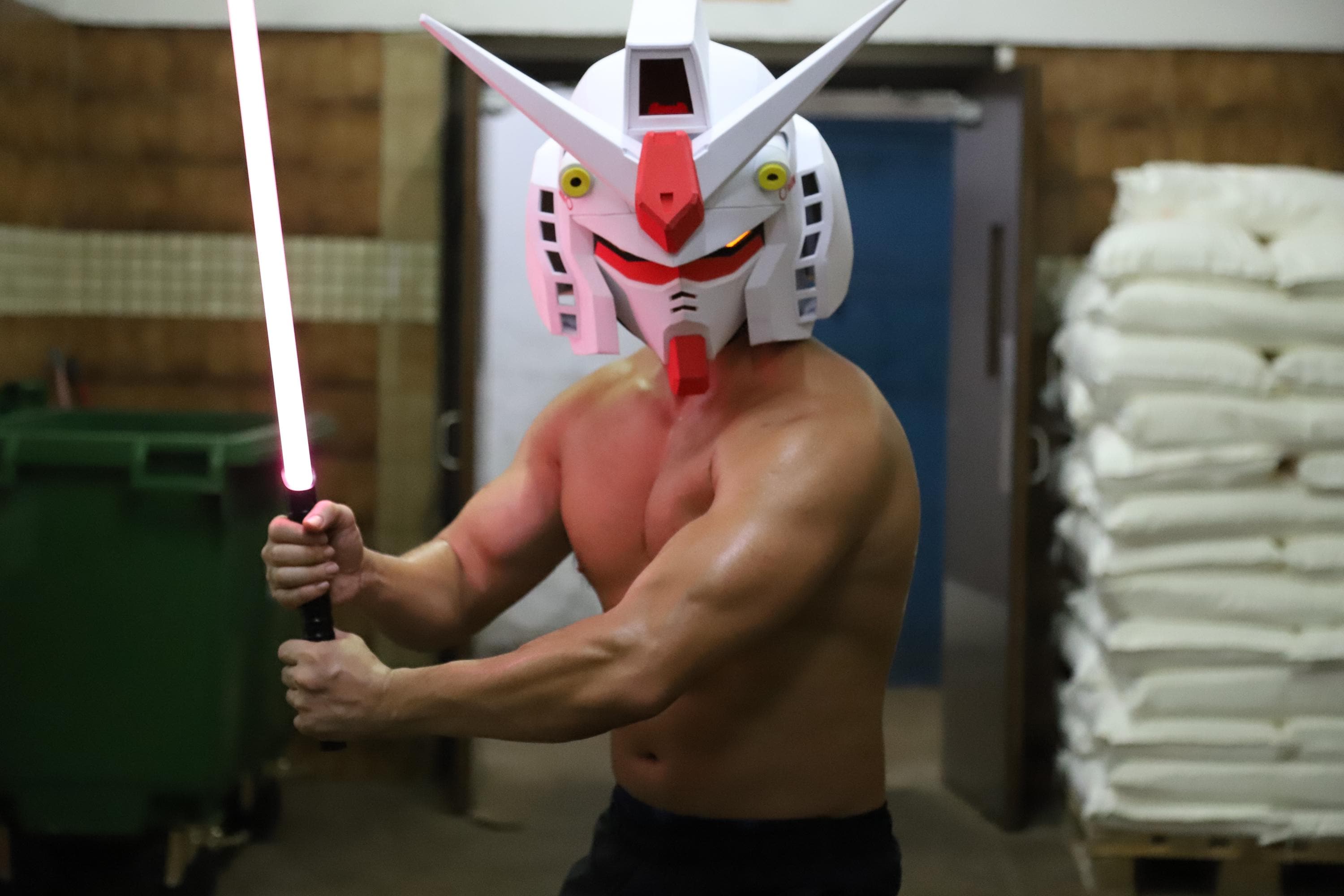 EVA Rx-78 Wing Zero Unicorn Freedom Gundam Zaku LED Head