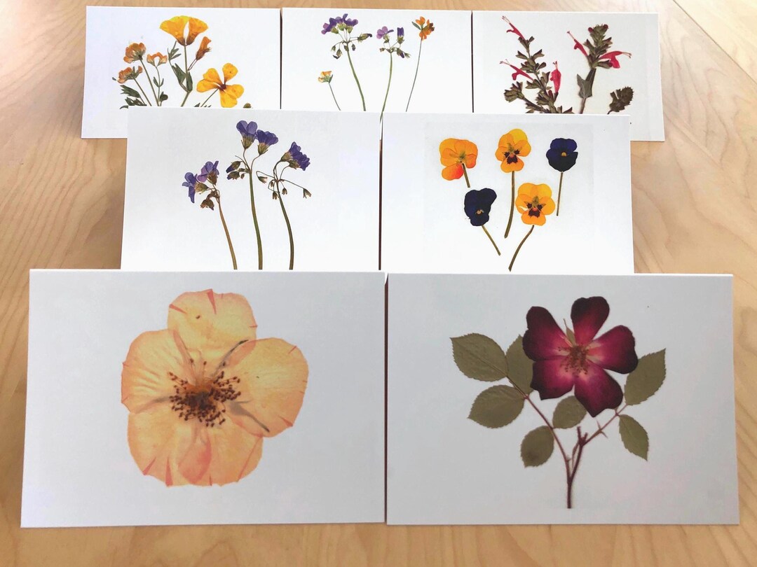 Set of 6 Pressed Flower Art Greeting Cards | Botanical Print Notecards ...
