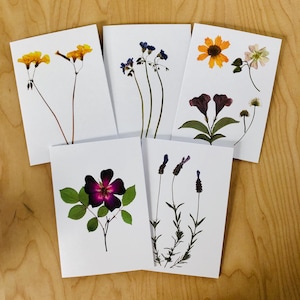 Conjunto de 5 cartões de felicitações com arte de flores prensadas | cartões de anotações com estampas botânicas | vertical