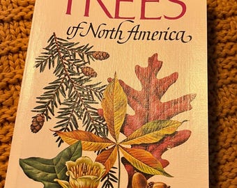 Golden Book Guide To Field Identication Trees of North America 1979/68