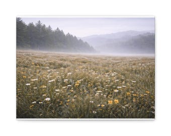 Misty Morning Meadow Canvas Wall Art | Serene Landscape Nature Decor