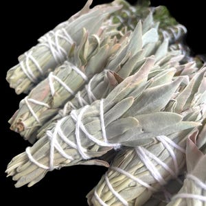 Farm Raised White Sage Smudge Stick