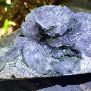 May include: A cluster of light purple fluorite crystals with a crystalline structure. The fluorite sits on a matrix of gray and green rock. The image is taken in natural light, highlighting the crystal's facets.