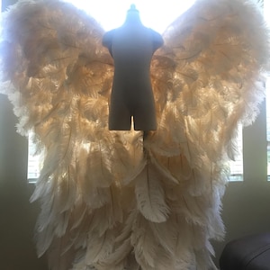RTS Genesis Angel Wings, Ivory, Large
