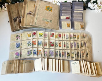 Kensitas Silk Flowers Cigarette Cards C1930s, First Series Full Sets-Small, Midium Size