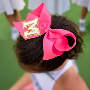 May include: A bright pink hair bow with a large, decorative design. The bow features a gold-trimmed letter "M" in the center. The bow is attached to a person's dark hair. Other people wearing white and pink outfits are in the background.
