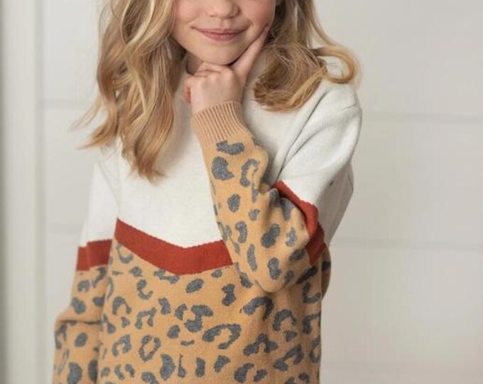 Kids Leopard & Rust V Color Block Crew Neck Sweater