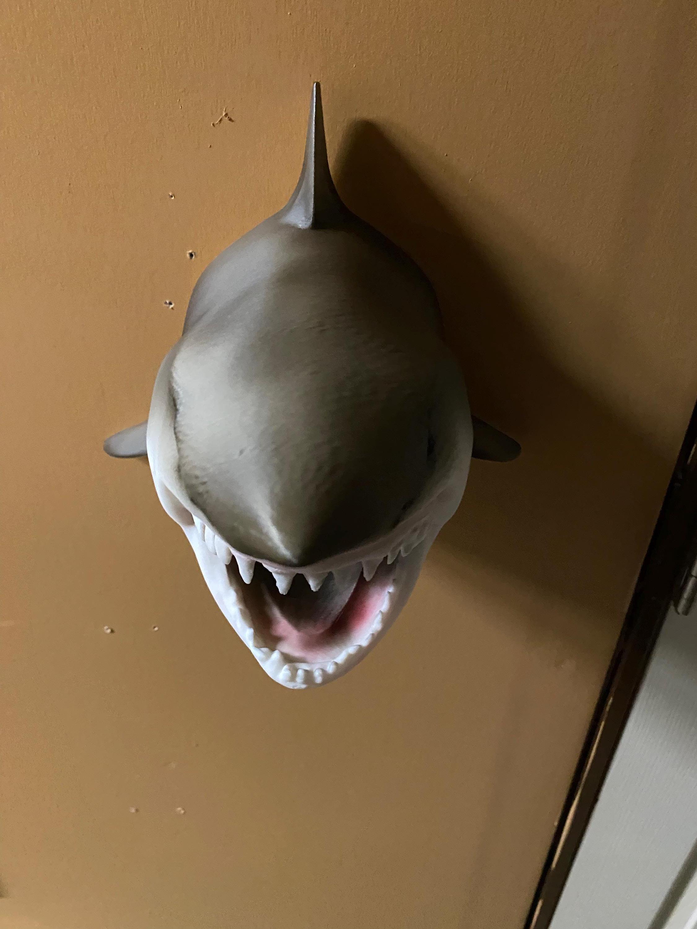 Great White Shark Head Sculpture, Hand Painted Realistic Shark