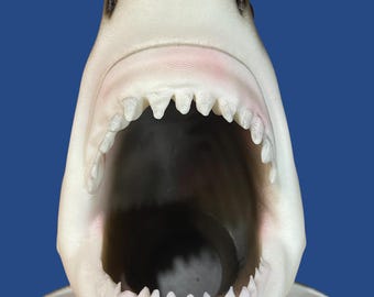 Shark Pen & Pencil Holder: Hand-Painted Desk Organizer