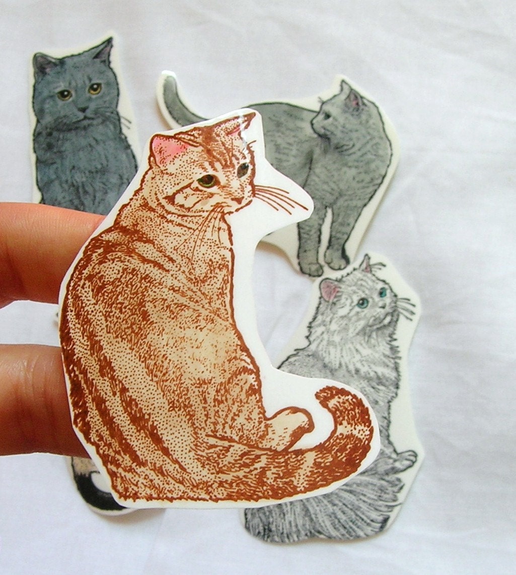 cat sticker set furry felines custom set of five tabby Etsy