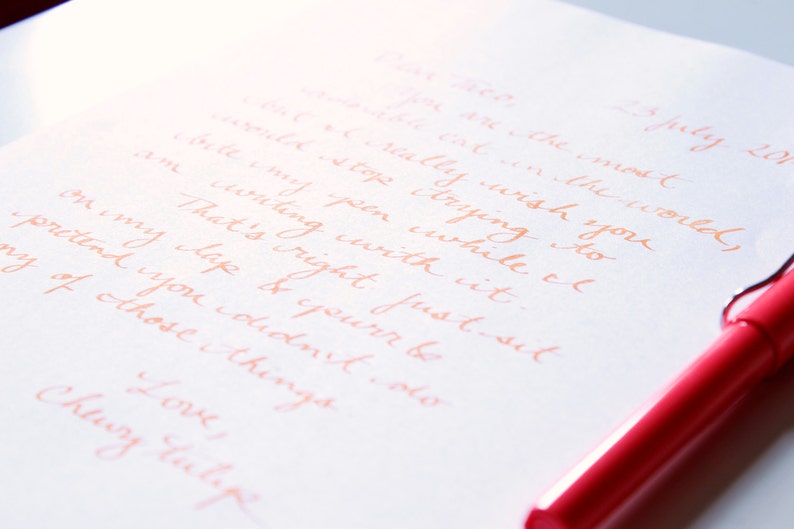 May include: A close-up of a handwritten note on white paper with a pink pen. The note reads: "25 July 2017. I really wish for you to come & stop crying so I can write my pen while I am crying with it. That's right just sit on my lap & you'll pretend you didn't do any of those things. Love, Chewy tutape"
