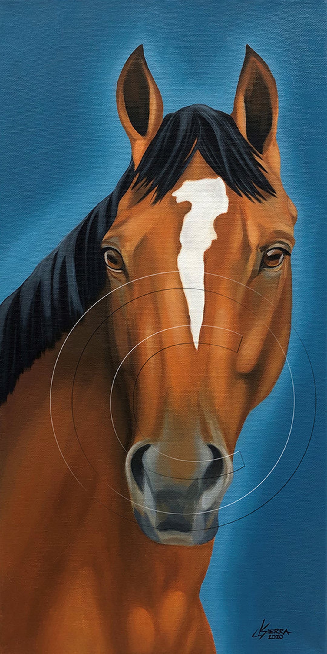 Maximum Security Horse