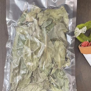 May include: A clear, vacuum-sealed plastic bag filled with numerous dried, light green bay leaves. The leaves are oval-shaped with visible veins and stems, packed tightly together to preserve their state within the transparent packaging.