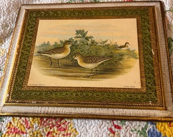 Print Duck Picture Bird Vintage Italian Wooden Artwork Folkart Green Gold White Wall Hanging Dark Cottagecore Painting Little Stint Woodland