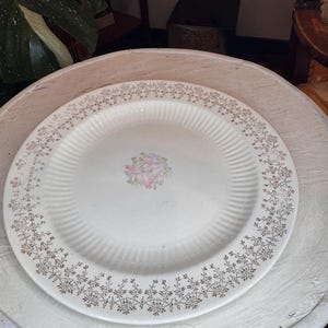 May include: A white ceramic dinner plate with a gold floral design around the rim. The center of the plate has a pink and white floral design.