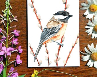 Chickadee y Pussywillow / Tarjeta de felicitación / Tarjeta 5 x 7 / Cheryl Lacy