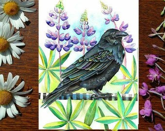 Lupine Raven | Greeting Card | 5 x 7 card | Cheryl Lacy