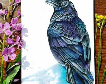 Raven Solitude | Greeting Card | 5 x 7 card | Cheryl Lacy