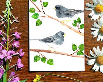 Junco | Greeting Card | 5 x 7 card | Cheryl Lacy