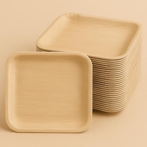 Piatti quadrati in foglia di palma – Piatti monouso in bambù ecologici per matrimoni – Piatti per barbecue – Piatti resistenti – Disponibili in 3 misure (25,4 cm, 23,9 cm, 18,1 cm)