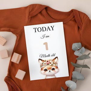 Tarjetas mensuales descargables de hitos del bebé: capture el crecimiento de su bebé con adorables accesorios fotográficos