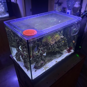 May include: A rectangular glass aquarium with a mesh lid and an orange circular vent. The tank is filled with coral, rocks, and sand, and is illuminated with blue lighting. A second, smaller aquarium is visible in the background.