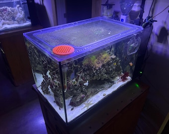 Fluval Evo 13.5 | Flex 32.5 Mesh Solid Frame Polycarbonate Aquarium Lid