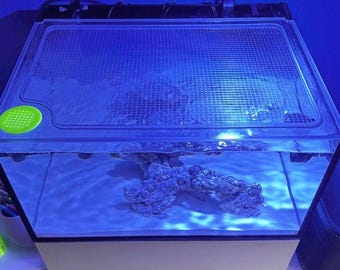 Mid fish/anemone acclimate box
