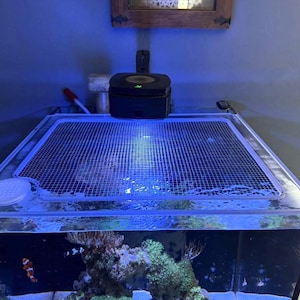 May include: A square aquarium tank featuring a clear acrylic mesh lid with a white circular feeding port. The tank is illuminated by a black LED light fixture mounted above, casting a blue glow over the water, live rock, and clownfish inside.