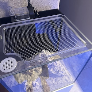 May include: A clear glass aquarium with a mesh lid, a white air vent, and a black top. The tank contains sand and rocks. A small filter and light are attached to the top of the aquarium.