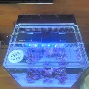 May include: A square glass aquarium tank featuring a black AI Blade LED light fixture mounted on top. The tank includes a white circular intake cover, a grid-patterned mesh lid, and purple rock structures submerged in blue-tinted water.