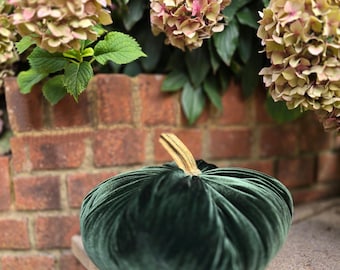 Bosgroene zijden fluwelen extra grote elegante pompoen met echte steel, herfstbruiloft tafeldecoratie, luxe accent voor een herfstbruiloft