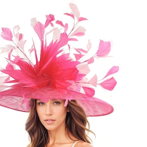 May include: A wide-brimmed, pink hat with a large, decorative arrangement of feathers. The hat features a vibrant fuchsia center and is adorned with lighter pink and white feathers. This elegant headwear is suitable for special occasions.