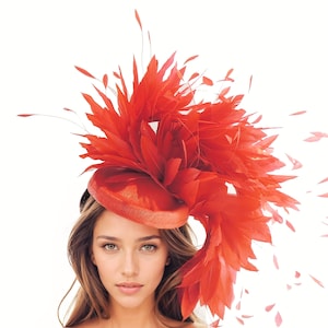 May include: A red feather hat with a large, dramatic design. The hat is made of many feathers that are arranged in a circular shape. The feathers are all the same color, and they are all pointing in different directions.