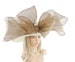 White & Gold Biffo Bow Hat for Weddings, Races, and Kentucky Oaks Derby Ascot Gala Party (Many Colours) 