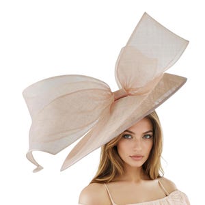 Pale Pink Baby Statement Fascinator Hat Ascot Wedding Hatinator Womens KY Derby Ladies Day Formal Occasion Headpiece High Tea Party