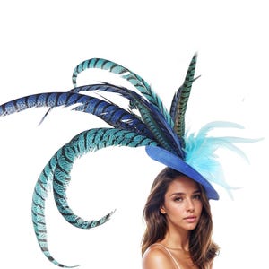 May include: A blue hat with a large, curled plume of teal and blue feathers.