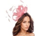 see more listings in the Light Pink Fascinators section