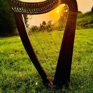 22-String Solid Rosewood Harp with Extra Strings & Carrying Case – Perfect for Teenagers