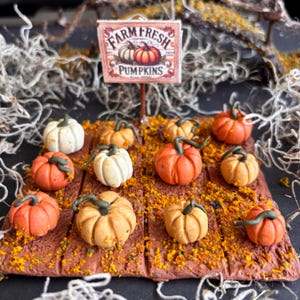 May include: Miniature pumpkin patch scene with a sign that reads "Farm Fresh Pumpkins." The patch features several small pumpkins in shades of orange, white, and yellow, with green stems. The pumpkins are arranged on a brown, textured surface.