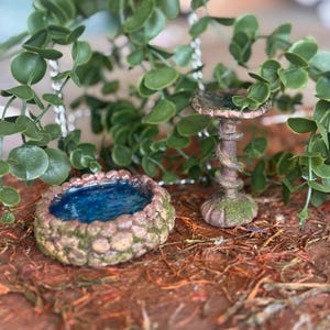 Miniature Fairy Garden Pond and Bird Bath: Whimsical Garden Decor