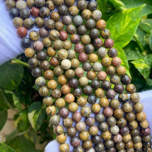 AAA Genuine Leopard Skin Jasper Gemstone Round Smooth Beads | Size Available 4mm 6mm 8mm 10mm | Sold by Strand 15.5&quot; | For Making Jewelry