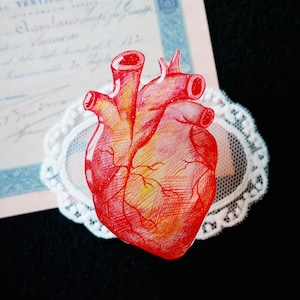 以下が含まれることがあります： 白いレースのドイリーに描かれた赤と黄色の解剖学的な心臓のイラスト。心臓には血管や動脈が描かれています。背景には、ヴィンテージの書類とラベンダーの小枝が付いたタグがあります。