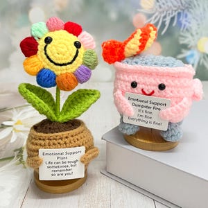 Rosa Dumpster Feuer & Regenbogen Blume häkeln: Büro Dekor Geschenk