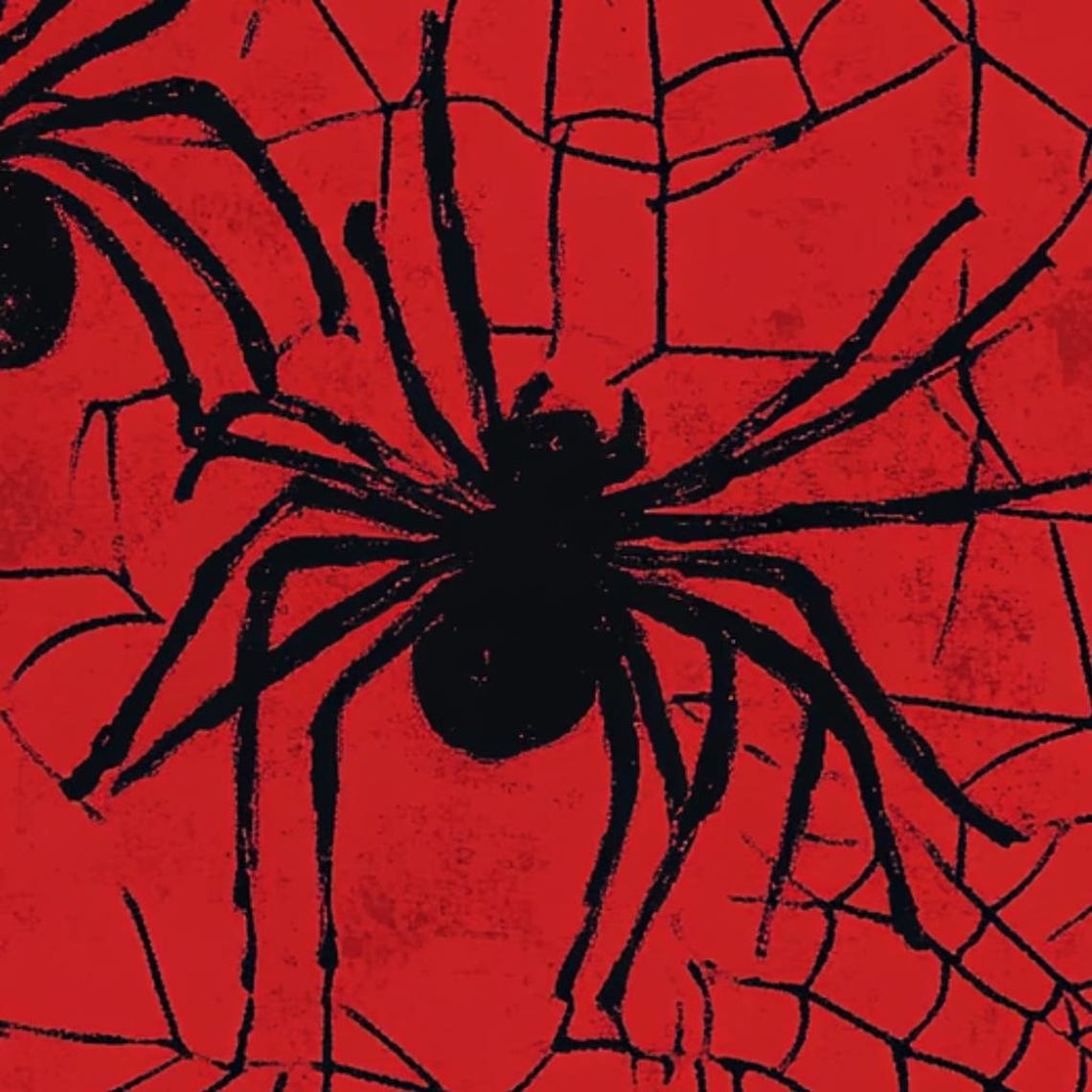 Halloween, Spider, Webb, Red Background, Spider Webb, Spider, Red ...