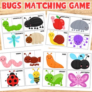 Gioco di abbinamento insetti per bambini, carte di abbinamento simmetrico, attività per bambini, scuola materna e asilo, schede di vocabolario, attività primaverili